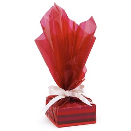 Hygloss Products Cellophane Roll – Cellophane Wrap for Crafts, Gifts, and Baskets 20 Inch x 5 Feet, Red