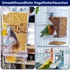 Automatic Feeder Birds and Water Dispenser Transparent Acrylic Bird Feeder