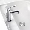 Pop-up Sink Drain Stopper with Lift Rod - Universal Bathroom