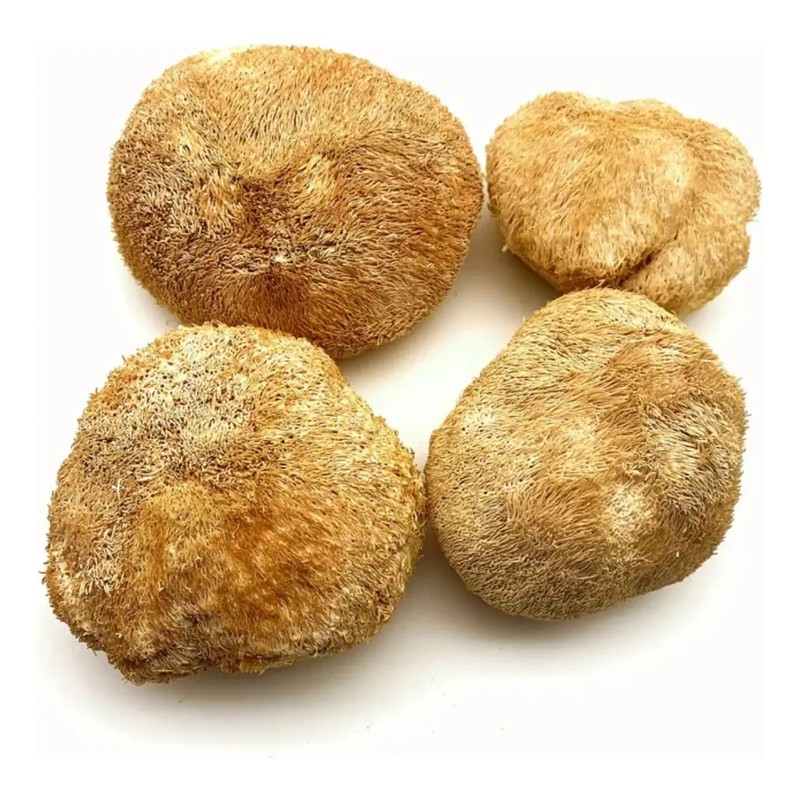 Hongo Melena De Leon 1 Kg.