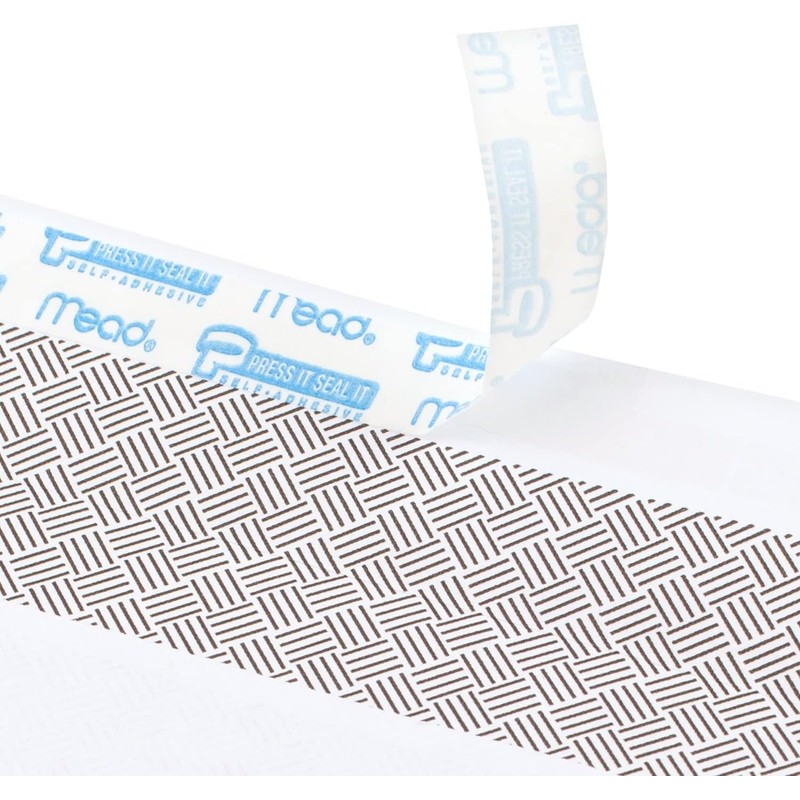 Mead #10 Security Business Envelopes Letter Size 4-1/8" x 9-1/2"