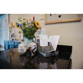 Creative Co-op DA6881 Galvanized Metal Desk Organizer with Compartments