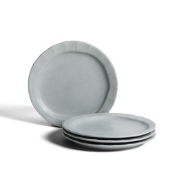 Stone Lain Oasis 4-Piece Salad Plate Set Stoneware, Grey Blue