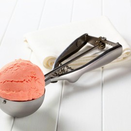 Fackelmann, Cuillère à, portionneuse pour glace et 45979, ice cream scoop for ice cream and sorbet, stainless steel, silver, 22.5 x 5 cm, grey