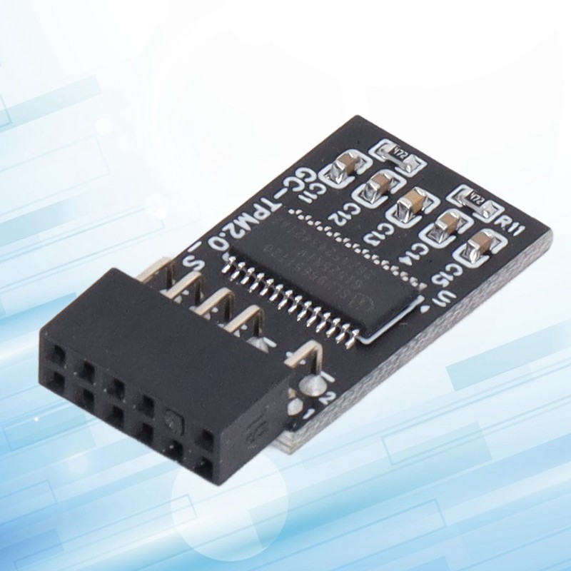 TPM 2.0 Module LPC SPI 12Pin Remote Card Encryption Security