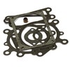 Briggs and Stratton Genuine 794152 Gasket Set for Valve
