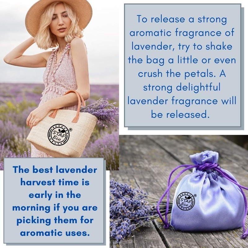 STAFECO® LAVENDER Top Grade Dried Flowers Bugs Sachet harvest time