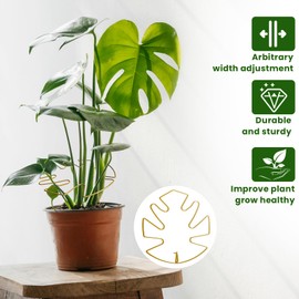 WOEUROI Monstera Plant Support for Indoor Plants, 6 Pack Plant Stabilizer for Leaves and Turtle Shells, Durable Hook Plant Stem Supports for Healthy Growth, Indoor Plant Care Stakes for Plant Lovers
