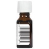 Precious Essentials Oil Jasmine Absolute w/Jojoba Aura Cacia 0.5 oz