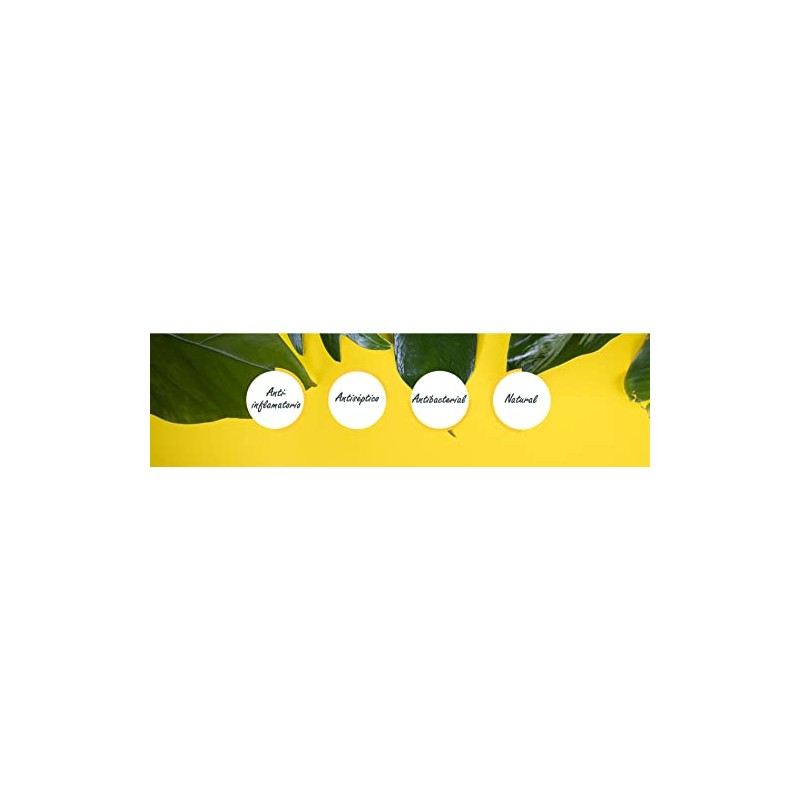 KIT HELIOPSIS DE VIDA EXTRACTO DE CHILCUAGUE DE 70 ML