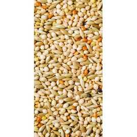 Scarlett Naturals Finch–25 lb Bag