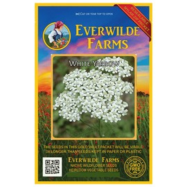 Everwilde Farms - 2000 White Yarrow Native Wildflower Seeds - Gold Vault Jumbo Seed Packet