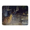 Rivers Edge Products Large 12in x 16in Decorative Tempered Glass
