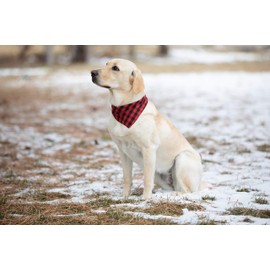Reversible Plaid Pet Bandana (Small, Medium, or Large) Soft Cotton for Dogs, Pack of 3