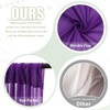 FUHSY Purple Backdrop Curtains 10x10 FT 2 Panels Chiffon Arch