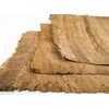 Forum Traiani Papyrus Antique Papyrus 3 Sheets from Egypt, Ancient