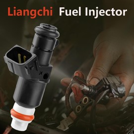 Liangchi Fuel Injectors 6 Holes Set of 6 for Honda Accord 2003-2007 Pilot 2005-2011 Odyssey 2005-2017 Ridgeline 2006-2014 Acura MDX TL Saturn Vue 3.0L 3.5L # 8001492N 16450-RCA-A01