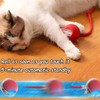 Hot cat toys are automatically teasing cat balls and self-exciting