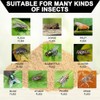 18 Pack Natural Fly Bait Refill, 18 * 30g Fly