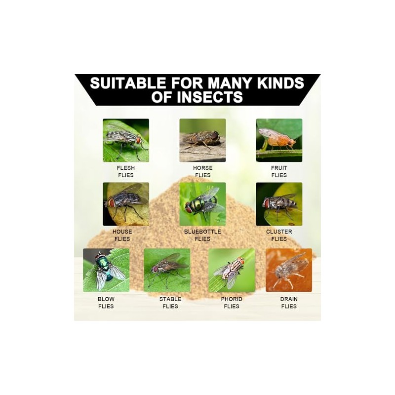 18 Pack Natural Fly Bait Refill, 18 * 30g Fly