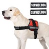 ALBCORP Service Dog Vest Harness – Reflective, No-Pull Harness with