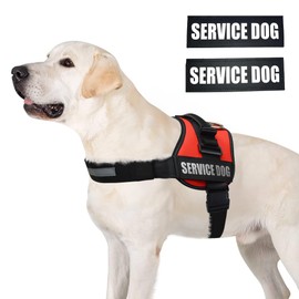 ALBCORP Service Dog Vest Harness – Reflective, No-Pull Harness with Handle & Comfy Mesh Padding – Sizes XXS-XL for Puppies, Small & Large Dogs – 2 Removable Service Patches Included (XL, Red)