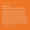Andalou Naturals Argan Oil & Shea Moisture Rich Shampoo, Orange,