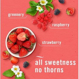 F.e.b.r.e.z.e Odor-Fighting Fade Defy Plug Air Freshener (1 Refill) of 0.87 Fl Oz + Starter Kit (Berry & Bramble)