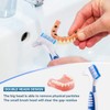 2 Denture Bath Case and 2 Denture Cleaner Brushes Retainer