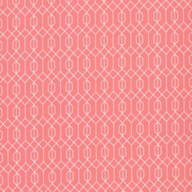 Michael Miller Elderberry Flower Fairies - Digital DDC8063 Coral Geo