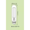 Bioluz LED T10 Dimmable LED Filament Bulb 4W (40W Equivalent)