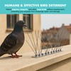 EVOGES 316 Stainless Steel Bird Spikes for Pigeons & Seagulls