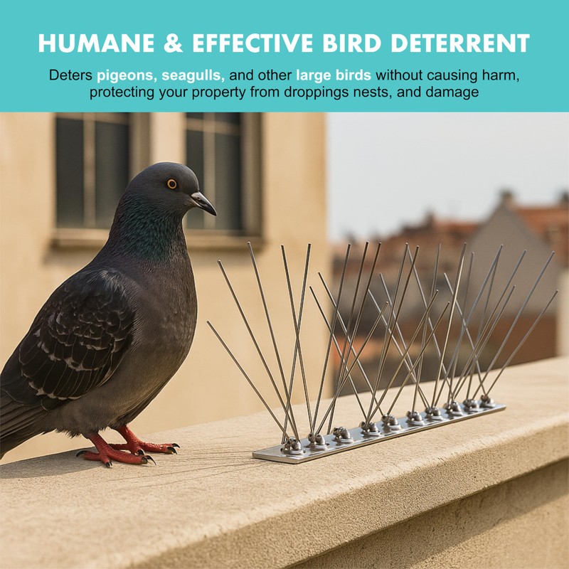 EVOGES 316 Stainless Steel Bird Spikes for Pigeons & Seagulls