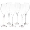 Schott Zwiesel Tritan Crystal Glass Finesse Stemware Collection Champagne Flute