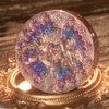 Flower Knows Little Angel Collection Highlighter (L02 Paradise Lost)