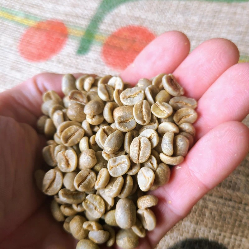 BRAZIL CERRADO COFFEE BEANS UNROASTED-GREE - 1/2lb