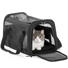 Petsfit Cat Carrier Dog Carriers,Airline Approved High Capacity Lightweight Soft-Sided Pet Travel Carrier for Rabbit,Puppies,Kittens,5-Sided Breathable Mesh,Black