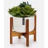 Fox & Fern Bamboo Acacia wood Mini Plant Stand and