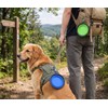2-in-1 Portable Silicone Pet Travel Feeder with Carabiner