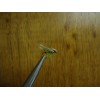 Unbranded Green Caddis Fly Size 14