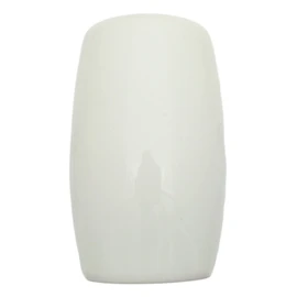 Guinea Pig China Salt and Pepper Shakers Cruet Set Modern White CSP 170