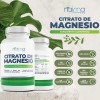 Citrato De Magnesio - 100% Puro - 500mg - 200