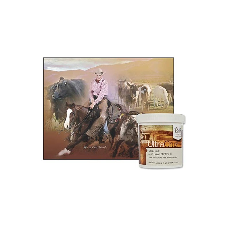 UltraCruz UltraCruz Equine Skin Save Ointment for Horses, 16 oz