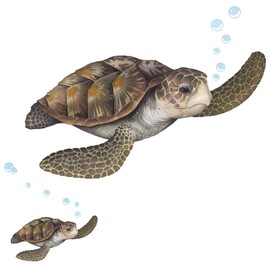 Create-A-Mural : Sea Turtle Wall Decal ~Realistic Undersea Animal for Kids Room Decor