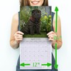 2025 2026 Shar Pei Calendar - Dog Breed Monthly Wall