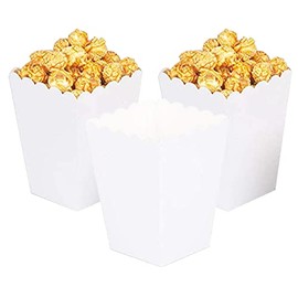 Ainmto 24PCS White Popcorn Boxes Mini Paper Popcorn Containers for Movie Night party