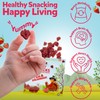 Real Fruit Snack – Strawberry (Pack of 18) – Healthy,
