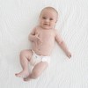 SmartNappy Disposable Inserts for by Amazing Baby Hybrid Diaper Cover,