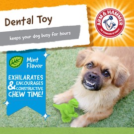 Arm & Hammer Ora-Play Denta-Saurus T-Rex Dental Chew Toy for Dogs | Best Dog Chew Toy For the Toughest Chewers | Reduces Plaque & Tartar Buildup Without Brushing, Mint Flavor (FF8431)