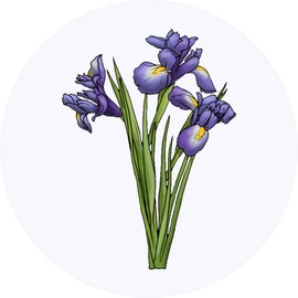24 x 40mm Round 'Blue Iris Flowers' Stickers (SK00048759)